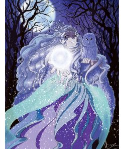 La sorcière de l’hiver – AFFICHE 20×20 cm